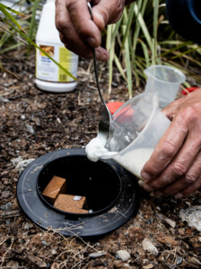 DIY Termite Treatment - Superway