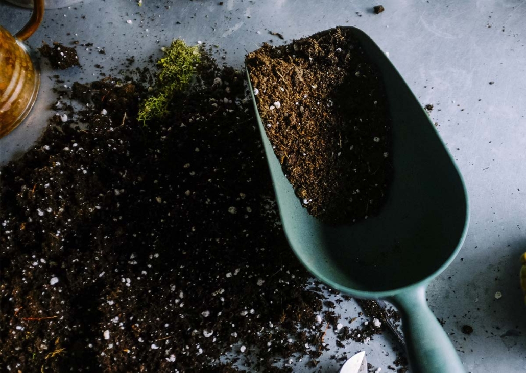 DIY Termite Treatment - Superway